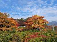 ☾︎京都☽︎ 洗練された静かで美しい日本庭園