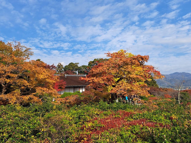 ☾︎京都☽︎ 洗練された静かで美しい日本庭園