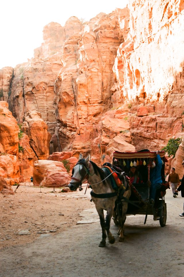 The Incredible Journey Through Time in Petra, Jordan