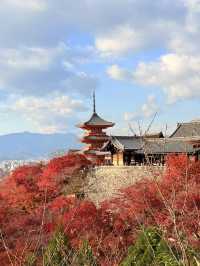京都｜秋楓春櫻冬雪 京都必訪清水寺
