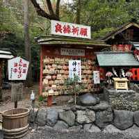 🇯🇵【京都】パワースポット！野宮神社！良縁、子宝、学問の神様♪(^^)