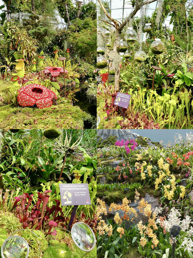 Where Technology Meets Nature at Garden by the Bay