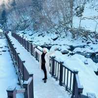 Magical Winter Wonderland at Eobi Ice Valley