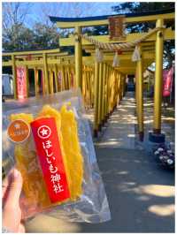 【茨城/ひたちなか】欲しいものが手に入るかも？＊ほしいも神社＊