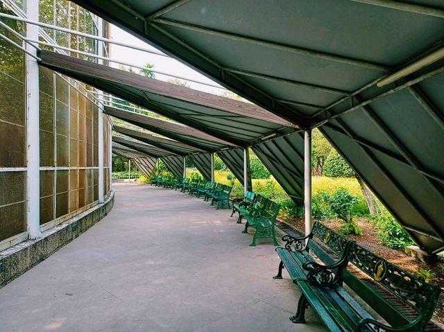 泰國曼谷特色博物館景點:曼谷蝴蝶館。免費參觀，適合打卡拍照📸親子遊