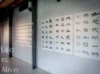 池上 穀倉藝術館📍金剛經 諸相非相 展 蔣勳