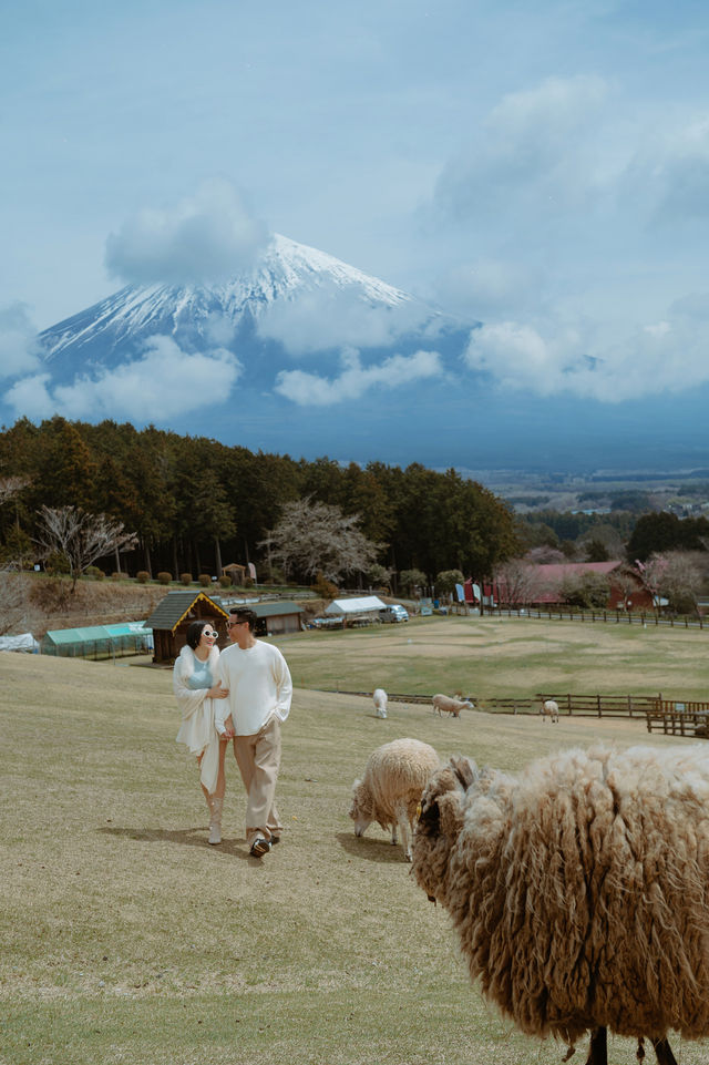 A Day at Makaino Farm – Fujinomiya, Shizuoka