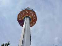 Swooping Over the Sea: Ocean Park's Best Moments