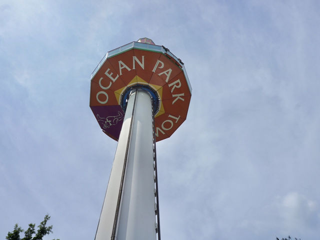 Swooping Over the Sea: Ocean Park's Best Moments