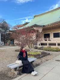 Gotokuji Temple 😸 วัดแมวกวักนำโชคในโตเกียว