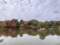 A Symphony of Colors — The Golden Glow of the Kinkakuji-Temple