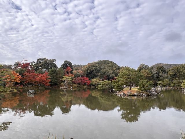 A Symphony of Colors — The Golden Glow of the Kinkakuji-Temple
