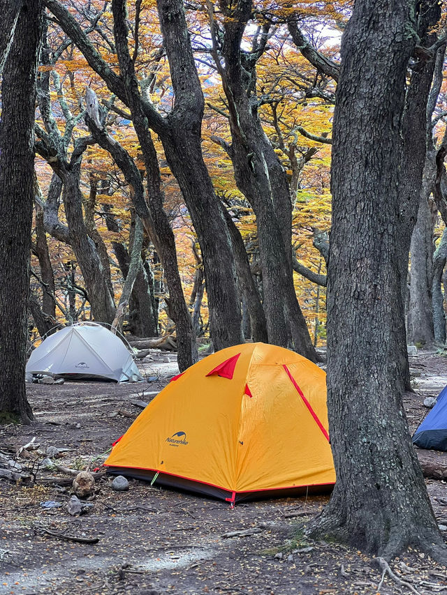 สัมผัสความสวยงามของเส้นทาง Patagonia 