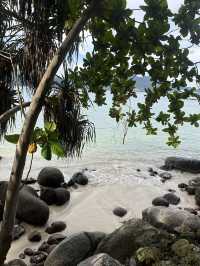 Paradise Beach - พาราไดซ์บีช ป่าตองภูเก็ต