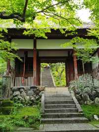 京都常寂光寺參訪體驗：隱藏在嵐山的紅葉秘境