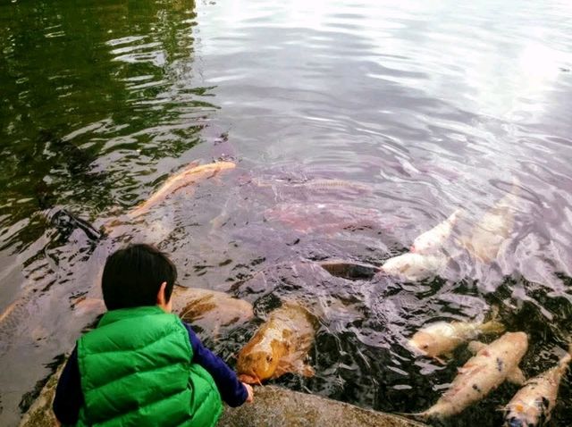 栗林公園-日本回遊式庭園代表，四國賞櫻好去處