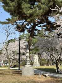 부여 공원
