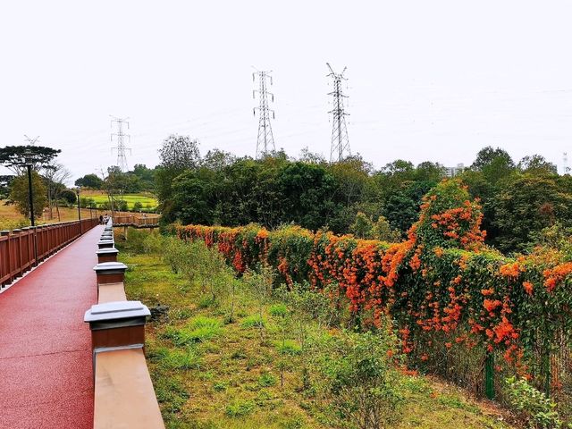 陌上花園浪漫花海