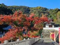 紅楓季漫遊日本箕面山〔瀧安寺〕，隱藏在山林間的絕美秘境