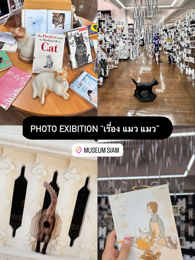พากันไปเติมความรัก เติมแมวกันที่มิวเซียมสยาม