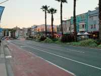 Bondi Beach: Sunset, Palm Trees & Coastal Charm