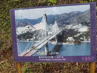 青馬大橋觀景台：情人節的壯麗浪漫