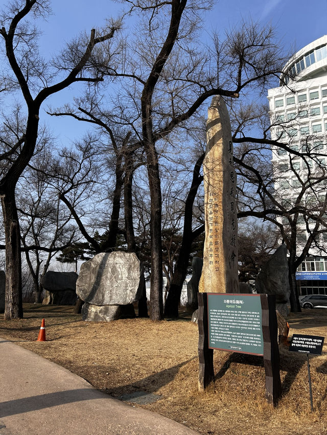 도시의 전망이 공존하고 다층적 아름다움이 존재하는 남산공원 백범광장🇰🇷