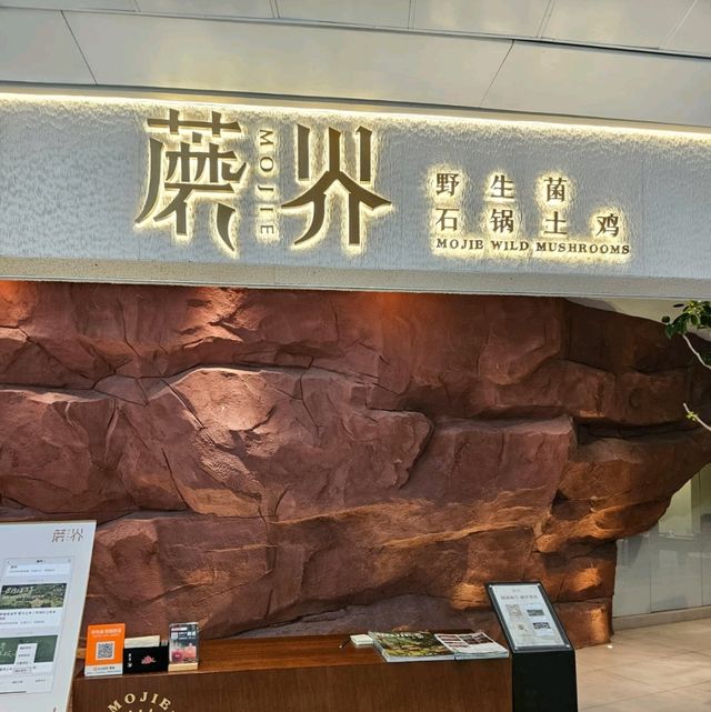蘑界野生菌石鍋土雞