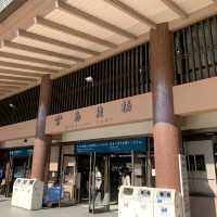 Deer-ly Loved Miyajima: A Day Trip to Remember! 