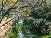 Suzhou Gardens