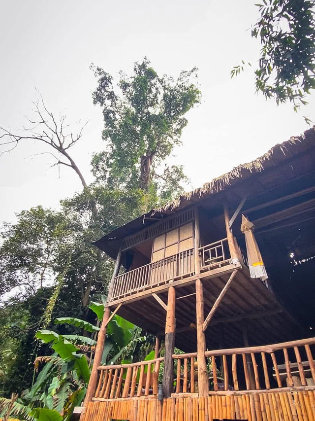 บ้านต้นไม้ แม่แมะ เชียงดาว