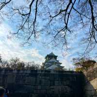 【大阪】5天4夜京都、大阪、奈良行程安排