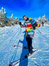 🎿 Skiing in Davos: Switzerland’s High-Altitude Adventure 🏔️❄️