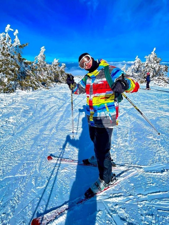 🎿 Skiing in Davos: Switzerland’s High-Altitude Adventure 🏔️❄️