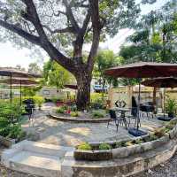 คาเฟ่ร่มรื่นในซอยลาดพร้าว 26 Pet Friendly 