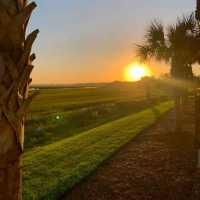 Marriott’s Harbour Point and Sunset Pointe at Shelter Cove, Hilton Head