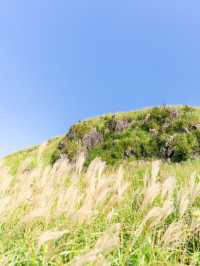 【大分県/由布市】名前のない絶景スポットのマジックアワー