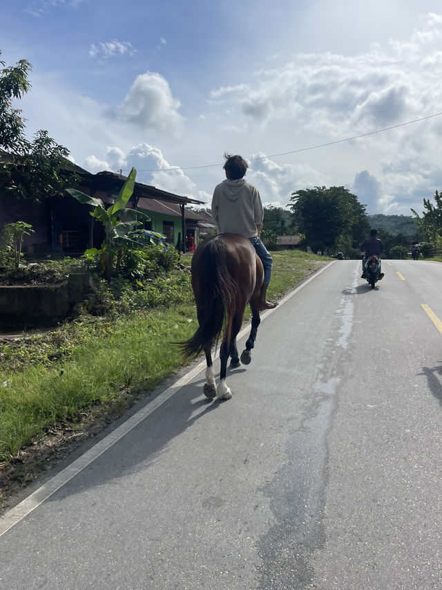 Exploring Waikabubak and surrounding areas by Scooter: The Best Way to See Sumba 🛵🌿