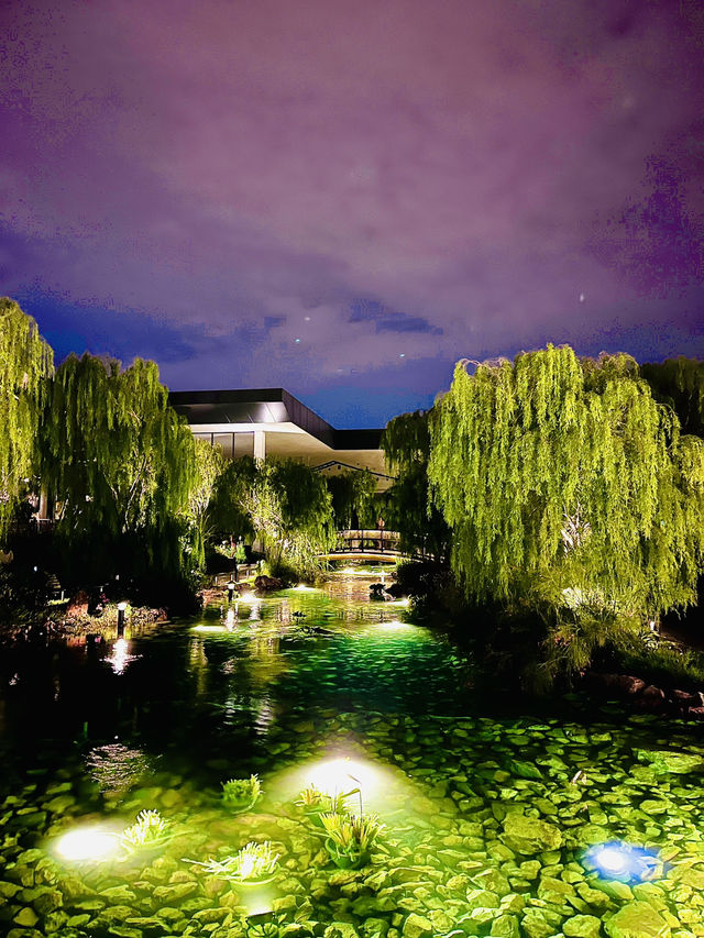 “Botanica+Co: Where Nature Meets Culinary Excellence”