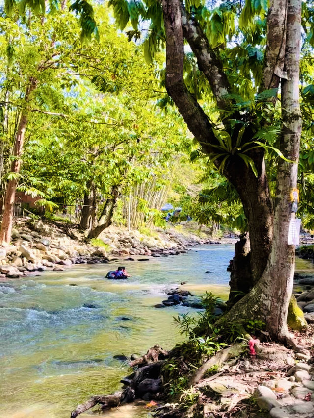 “Soak & Unwind: Refreshing Escapes at Janda Baik’s Lanchang River”