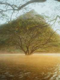 พร้าว