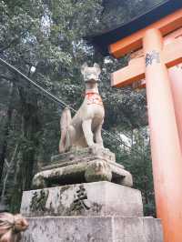 京都一日遊行程：清水寺 & 伏見稻荷大社