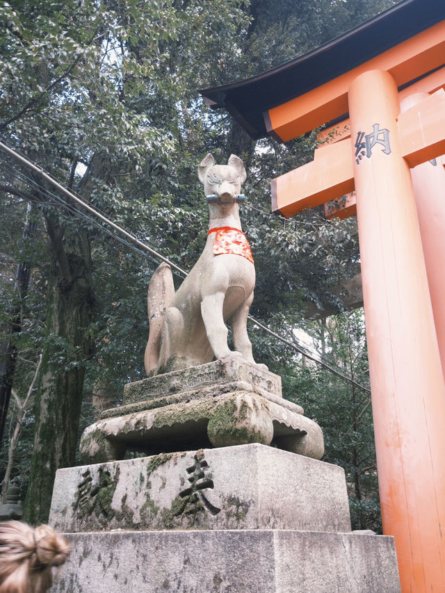 京都一日遊行程：清水寺 & 伏見稻荷大社