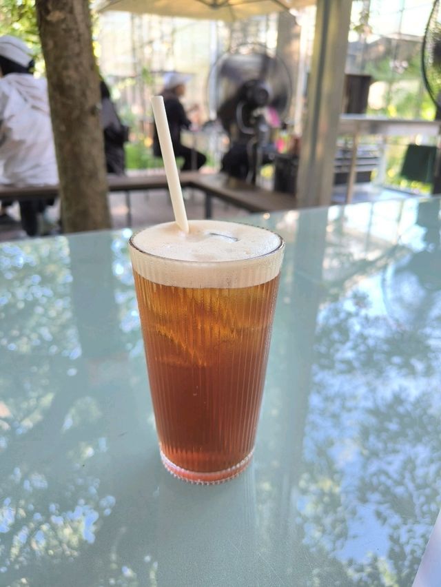 A Hidden Green Escape – The Glasshopper Café