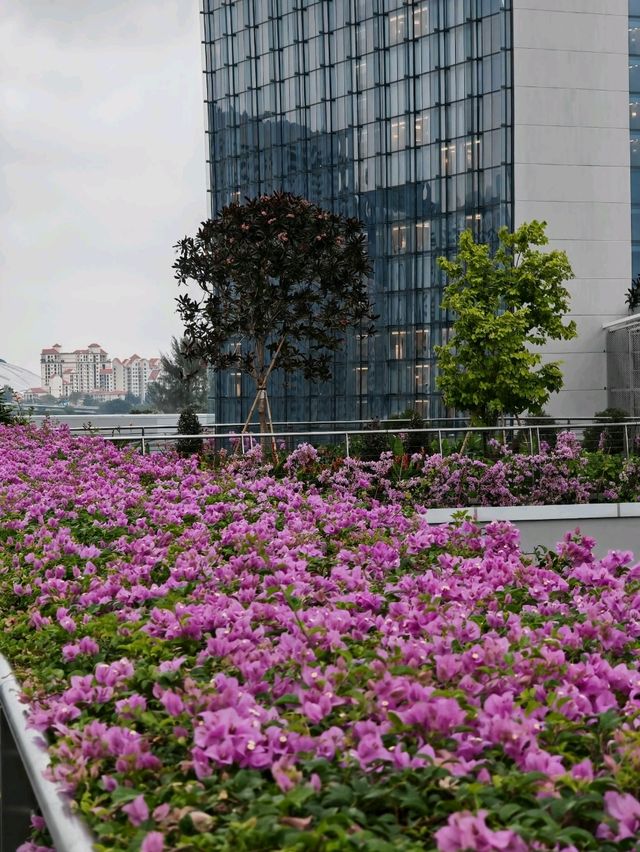 Why you must visit Gardens by the bay when you visit Singapore