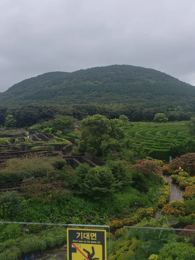 Maze Land
