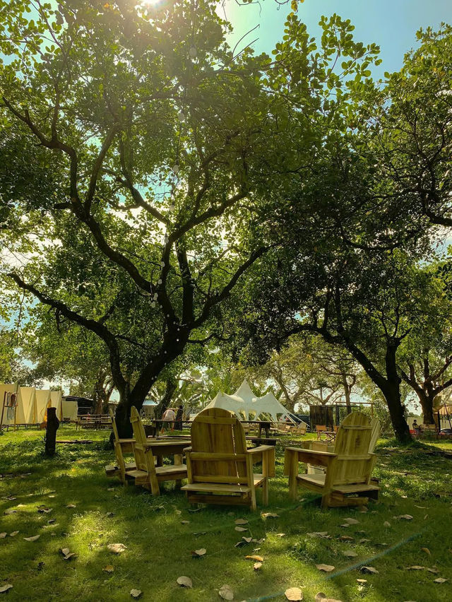 Tropical Eglamping 