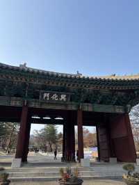 조선왕실 구경하는 서울 경희궁 나들이😍
