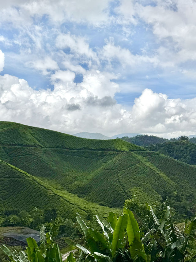 How to spend 3 days in Ulu Telom