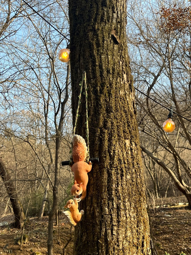 🏞️강원도 춘천 서울 근교  제이드가든 